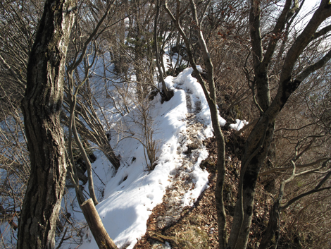 20160128hike (186)